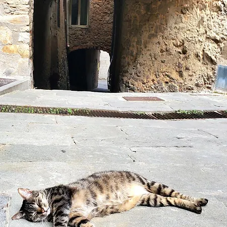 Casina Toscana, Cozy In The Heart Of With Free Wi-fi * Campiglia Marittima